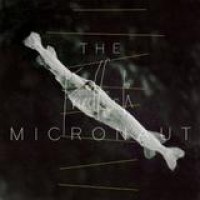 The Micronaut – Friedfisch