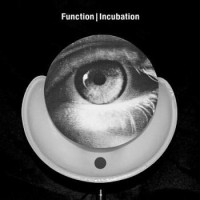 Function – Incubation