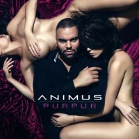 Animus – Purpur