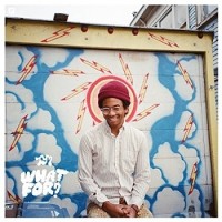 Toro Y Moi – What For?