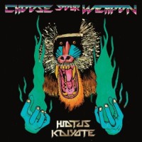 Hiatus Kaiyote – Choose Your Weapon