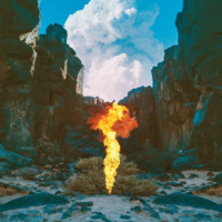 Bonobo – Migration