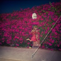 Feist – Pleasure