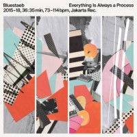 Bluestaeb – Everything Is Always A Process
