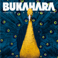 Bukahara – Canaries in a Coal Mine