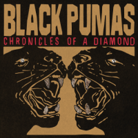 Black Pumas – Chronicles Of A Diamond