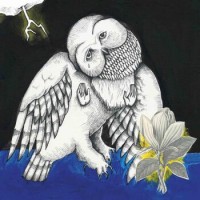 Songs: Ohia – The Magnolia Electric Co.