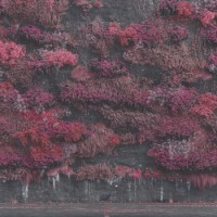 Sleep Token – Even In Arcadia