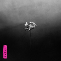 Little Simz – Lotus