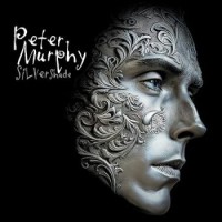 Peter Murphy – Silver Shade
