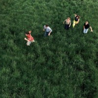 Parcels – Loved
