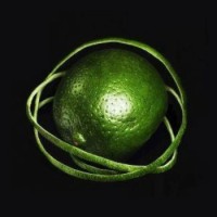 Big Thief – Double Infinity