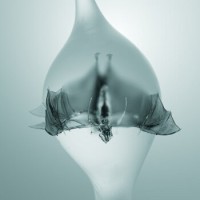 Unprocessed – Angel