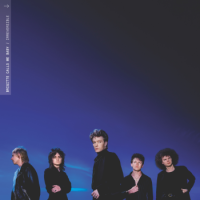 Brigitte Calls Me Baby – Irreversible