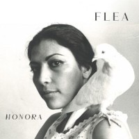 Flea – Honora