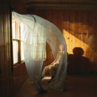 Beck – Ride Lonesome