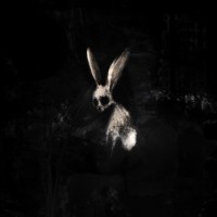 Ghostkid – Follow The White Rabbit