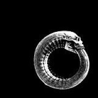 Turbonegro – Scandinavian Leather