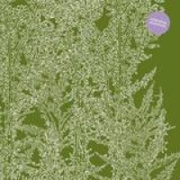 Ricardo Villalobos – Alcachofa