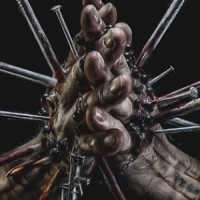 Metalsplitter – Vergewaltigungsverdacht gegen Decapitated