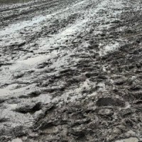 Nach Starkregen – Wacken verhängt Einlassverbot