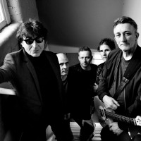 The Chameleons