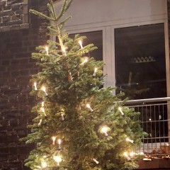 Am zweiten Abend des Lieblingsplatte Festivals ...