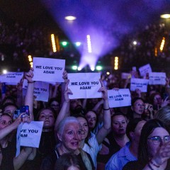 Fans.