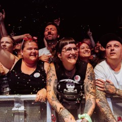 Fans 