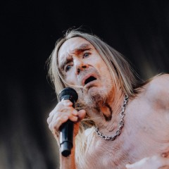 Iggy.