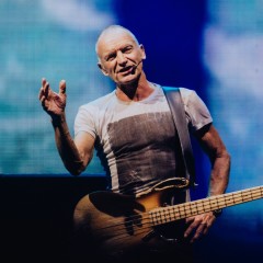 Sting.