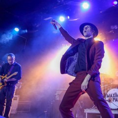 Maximo Park: Duncan Lloyd (Gitarre), Sänger Paul Smith und Tom English (Drums).