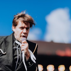 The Hives.