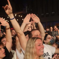 Fans