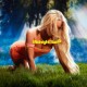  - Midnight Sun: Album-Cover