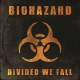  - Divided We Fall: Album-Cover