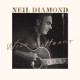  - Wild At Heart: Album-Cover