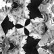  - Kaleidoscope: Album-Cover