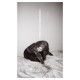  - Materia: Album-Cover
