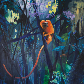 Bonnie "Prince" Billy - We Are Together Again